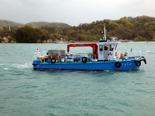 Joyo1