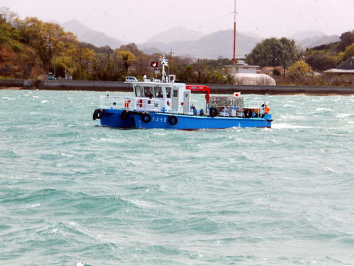Jyoyo2