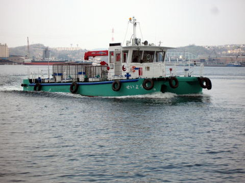 Seiyo2